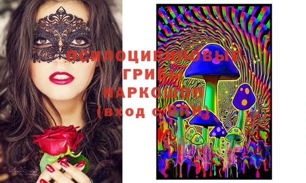 меф Белокуриха