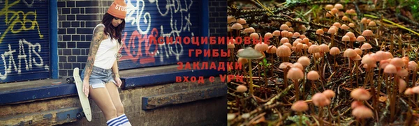 альфа пвп Лиски