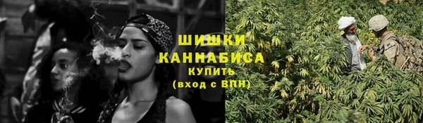 ПСИЛОЦИБИНОВЫЕ ГРИБЫ Лихославль