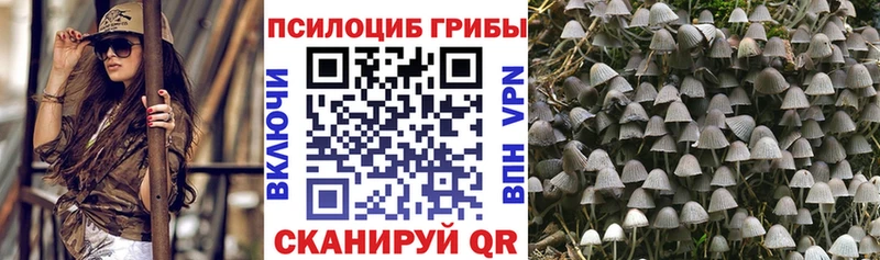 Галлюциногенные грибы ЛСД  Тбилисская 